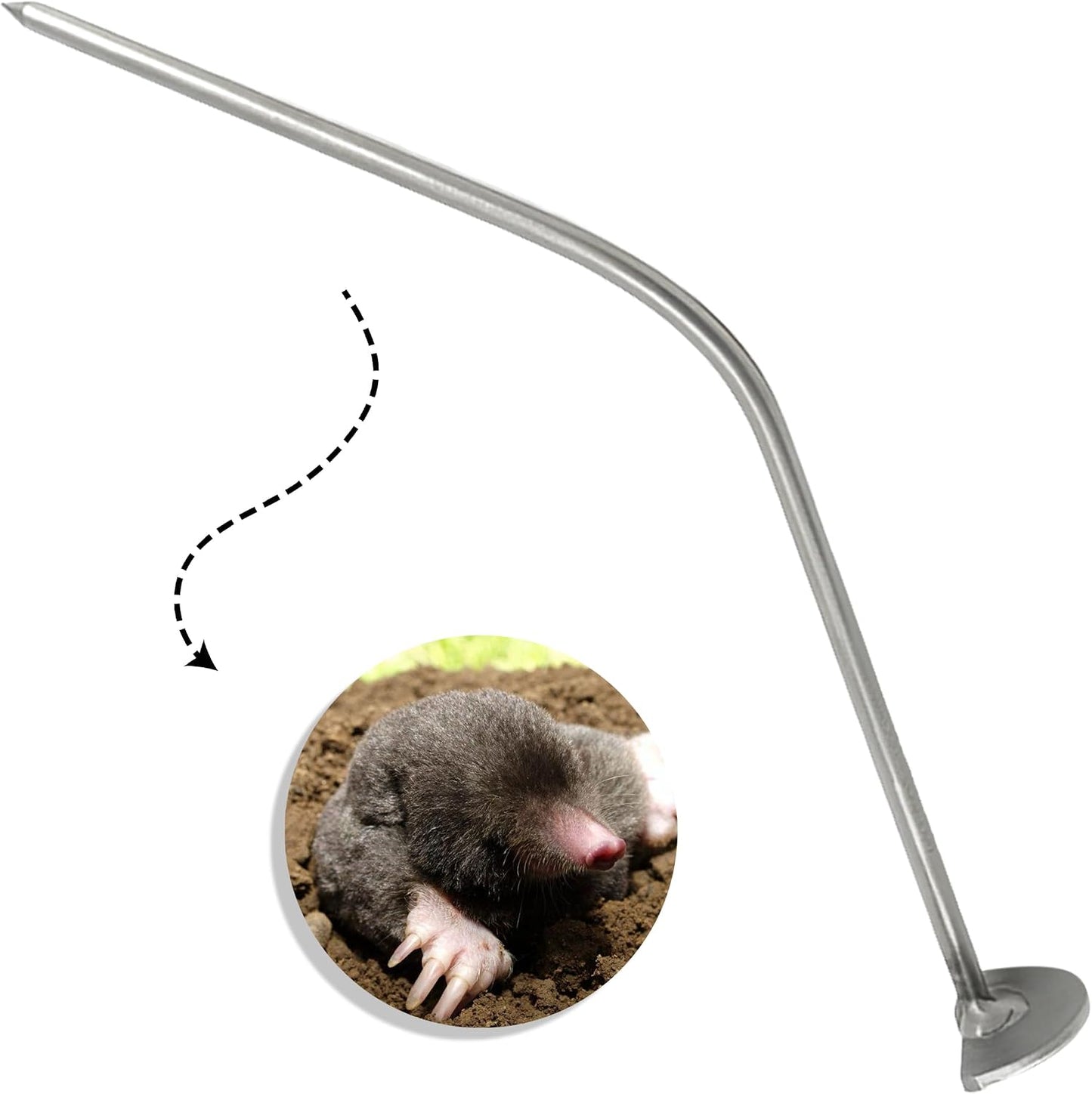 Probe and Tunnel Cleaning Tool for Mole Trapping