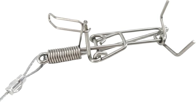 World's Best Mole Traps