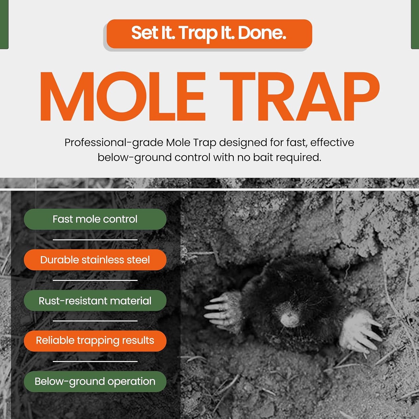 World's Best Mole Traps