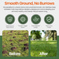 World's Best Mole Traps