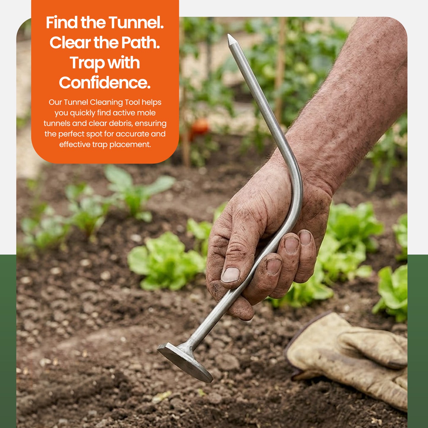 Probe and Tunnel Cleaning Tool for Mole Trapping