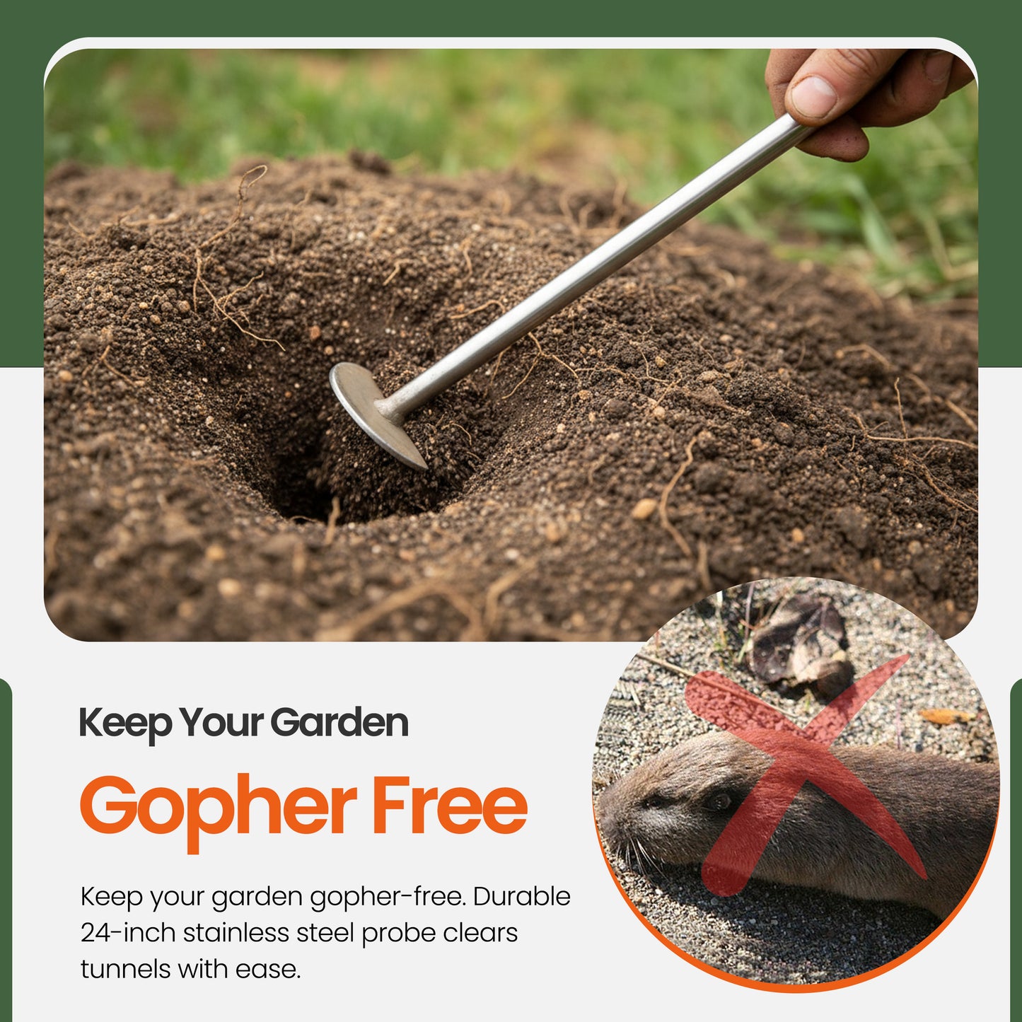 Worlds Best Gopher Traps, Probe Tool & Trappers Trowel Bundle