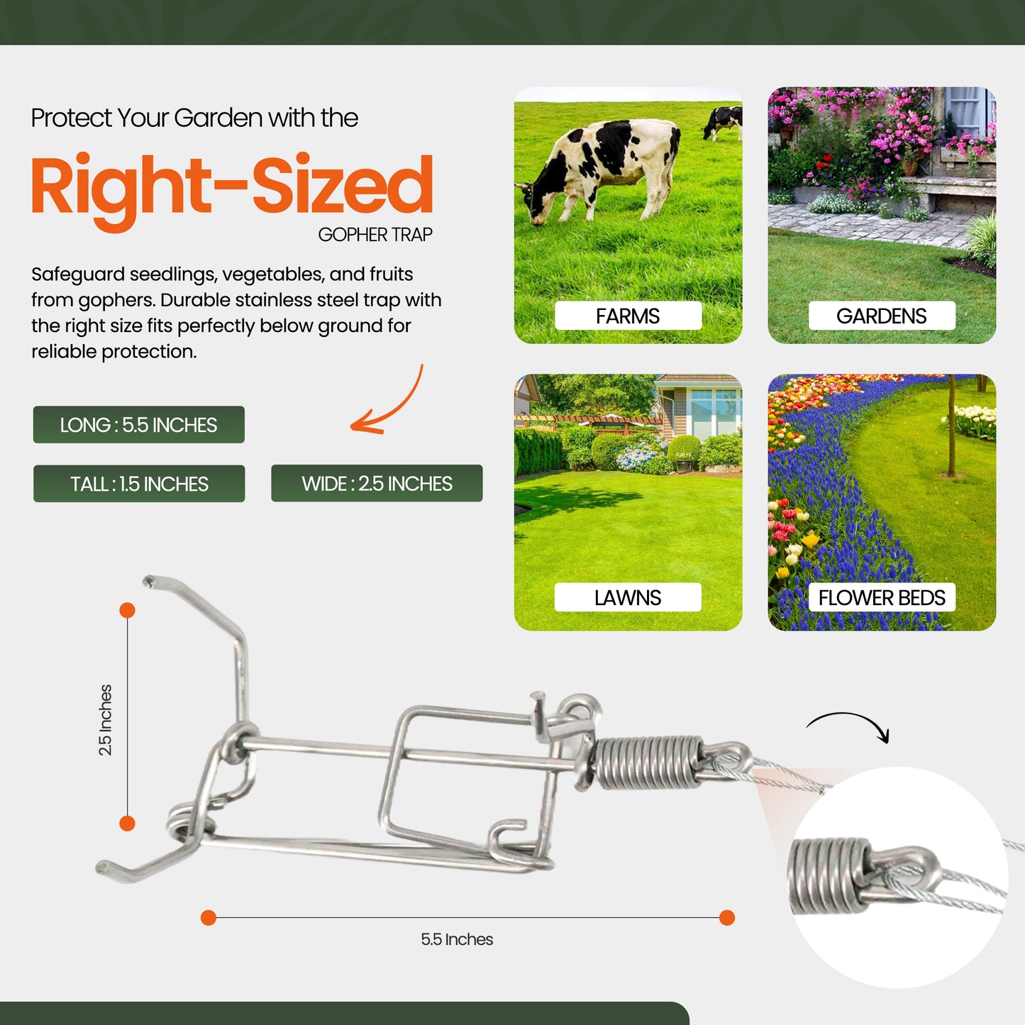 Worlds Best Gopher Traps & Probe Tool Bundle
