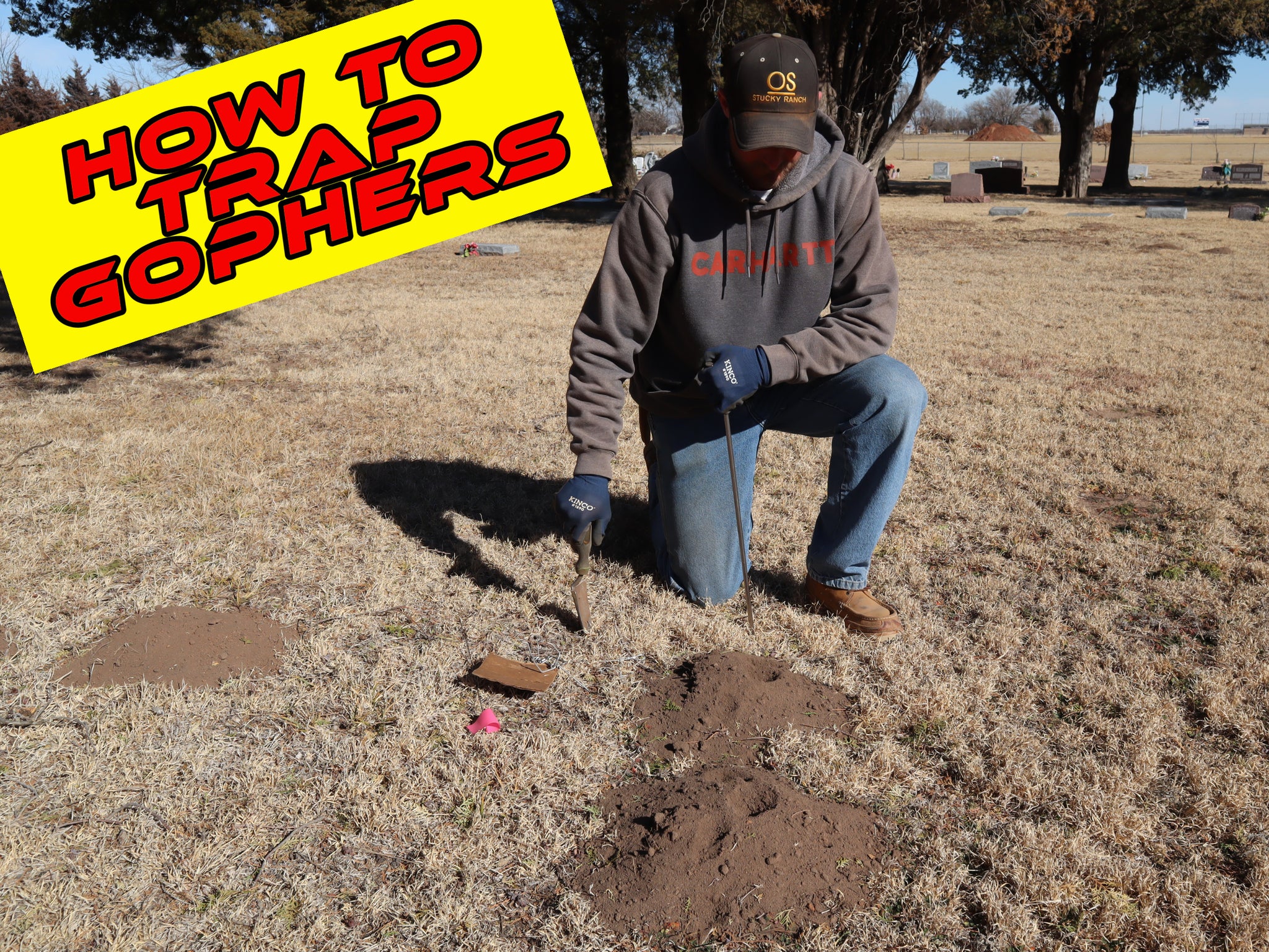 Gopher Trapping Video Training | Instant Online Access – Get Gophers
